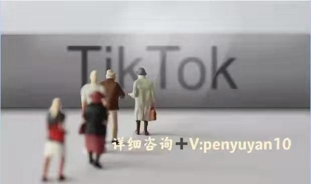 tiktok买什么vps