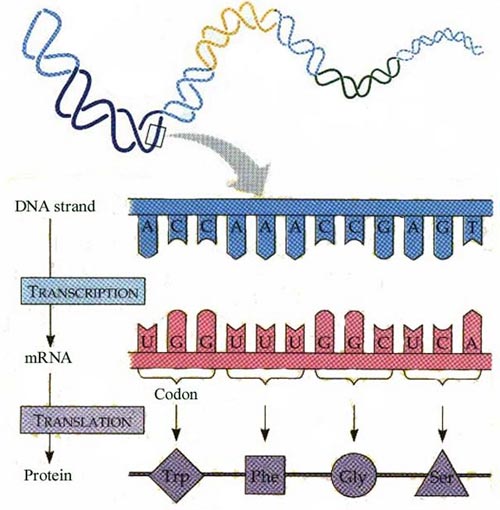 云服务器行为生物特征