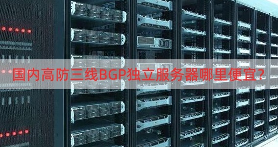 使用国内BGP高防服务器后要采用哪些安全措施来保证网站的安全性