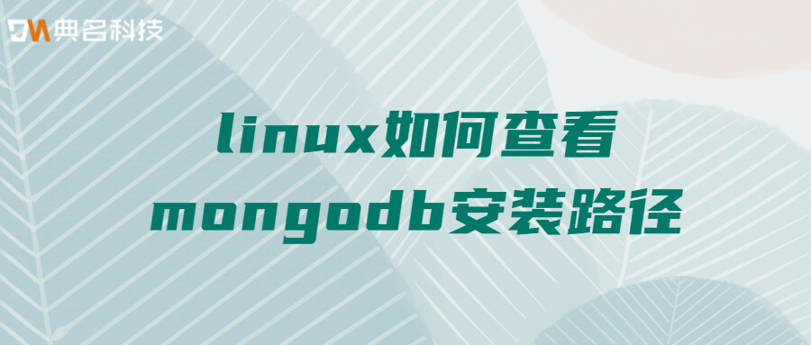 如何在Ubuntu18.04系统安装MongoDB