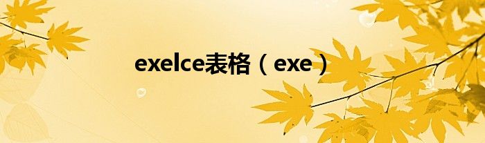 exelce 产品全解析