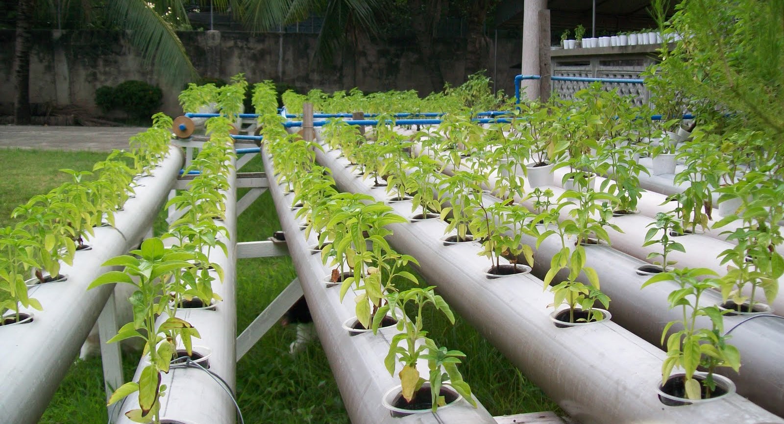 种植备案需要哪些材料