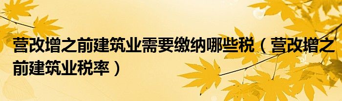 建筑业营改增老项目备案登记表