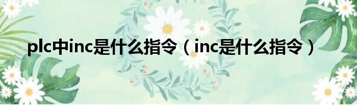 INC 指令含义解